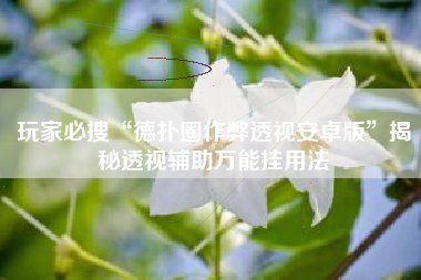 玩家必搜“德扑圈作弊透视安卓版”揭秘透视辅助万能挂用法