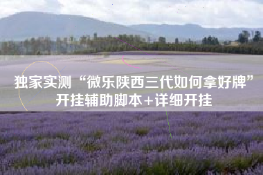 独家实测“微乐陕西三代如何拿好牌	”开挂辅助脚本+详细开挂