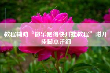 教程辅助“微乐跑得快开挂教程	”附开挂脚本详细