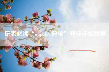 玩家必读“wepoker总输	”开挂详细教程