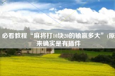 必看教程“麻将打10块20的输赢多大”(原来确实是有插件