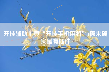 开挂辅助工具“开挂手机麻将”(原来确实是有插件