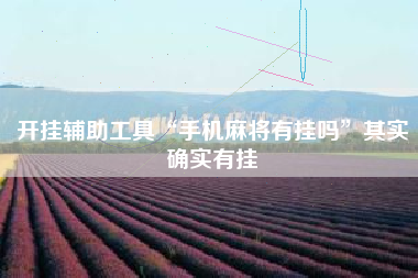 开挂辅助工具“手机麻将有挂吗”其实确实有挂