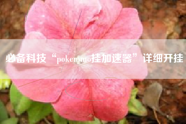 必备科技“pokemmo挂加速器	”详细开挂