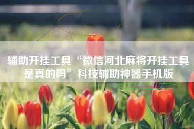 辅助开挂工具“微信河北麻将开挂工具是真的吗”科技辅助神器手机版