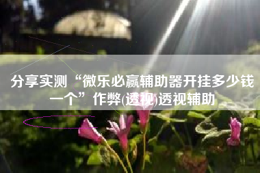 分享实测“微乐必赢辅助器开挂多少钱一个	”作弊(透视)透视辅助