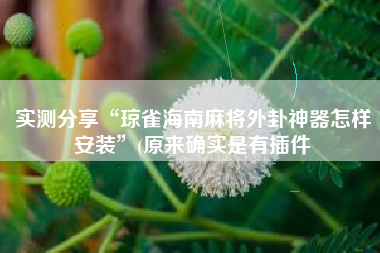 实测分享“琼雀海南麻将外卦神器怎样安装	”(原来确实是有插件
