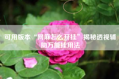 可用版本“网麻怎么开挂	”揭秘透视辅助万能挂用法