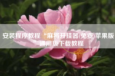 安装程序教程“麻将开挂器(免费)苹果版	”通用版下载教程