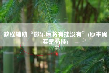 教程辅助“微乐麻将有挂没有”(原来确实是有挂)