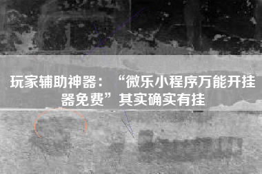 玩家辅助神器：“微乐小程序万能开挂器免费”其实确实有挂