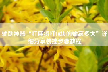 辅助神器“打麻将打10块的输赢多大”详细分享装挂步骤教程