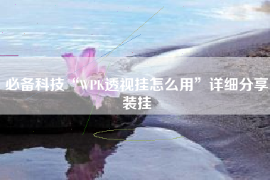 必备科技“WPK透视挂怎么用”详细分享装挂