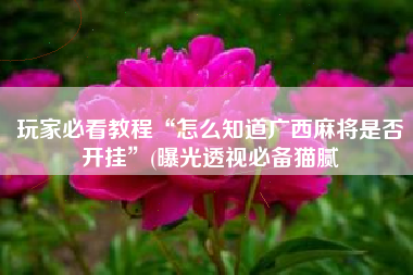 玩家必看教程“怎么知道广西麻将是否开挂”(曝光透视必备猫腻