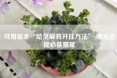 可用版本“哈灵麻将开挂方法	”(曝光透视必备猫腻