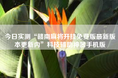 今日实测“赣南麻将开挂免费版最新版本更新内”科技辅助神器手机版