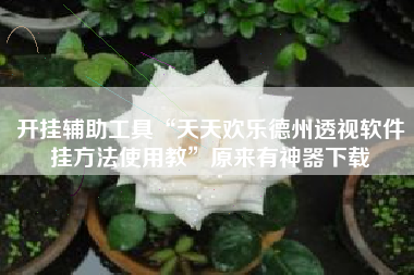 开挂辅助工具“天天欢乐德州透视软件挂方法使用教”原来有神器下载