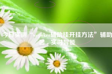 今日实测“wepoker辅助挂开挂方法”辅助器 - 实时智能