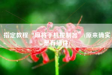 指定教程“麻将手机控制器”(原来确实是有插件)