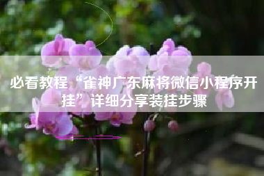 必看教程“雀神广东麻将微信小程序开挂	”详细分享装挂步骤