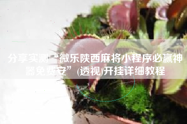 分享实测“微乐陕西麻将小程序必赢神器免费安	”(透视)开挂详细教程