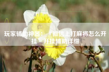 玩家辅助神器：“微信上打麻将怎么开挂”开挂辅助详细