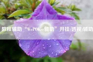 教程辅助“WePOKer辅助	”开挂(透视)辅助