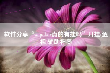 软件分享“wepoker真的有挂吗”开挂(透视)辅助神器