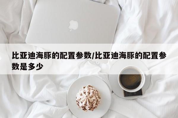 比亚迪海豚的配置参数/比亚迪海豚的配置参数是多少