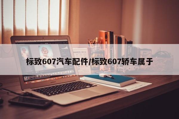 标致607汽车配件/标致607轿车属于