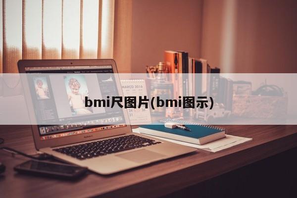 bmi尺图片(bmi图示)
